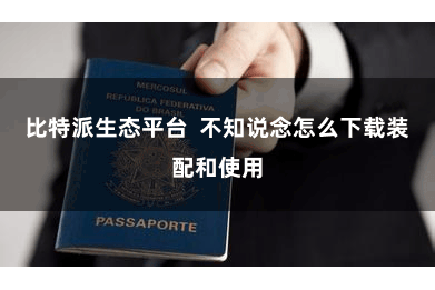 比特派生态平台  不知说念怎么下载装配和使用