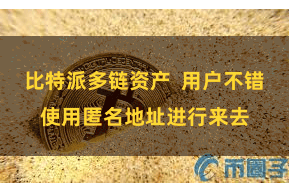 比特派多链资产  用户不错使用匿名地址进行来去