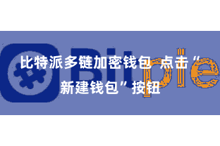 比特派多链加密钱包  点击“新建钱包”按钮
